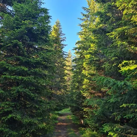 Starloft Διαμέρισμα *