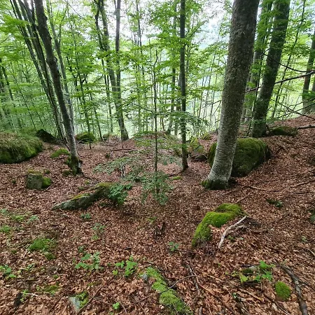 Διαμέρισμα Starloft