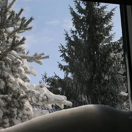 Starloft Apartment Kopaonik