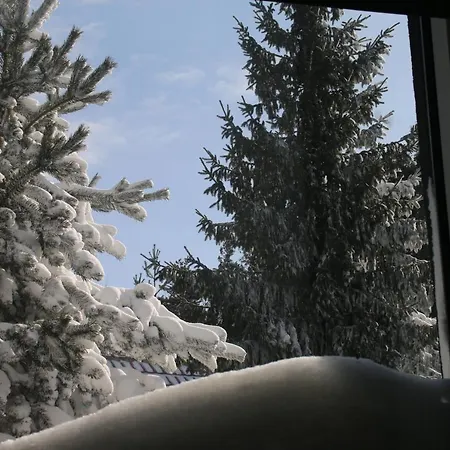 Starloft Διαμέρισμα Κοπαόνικ