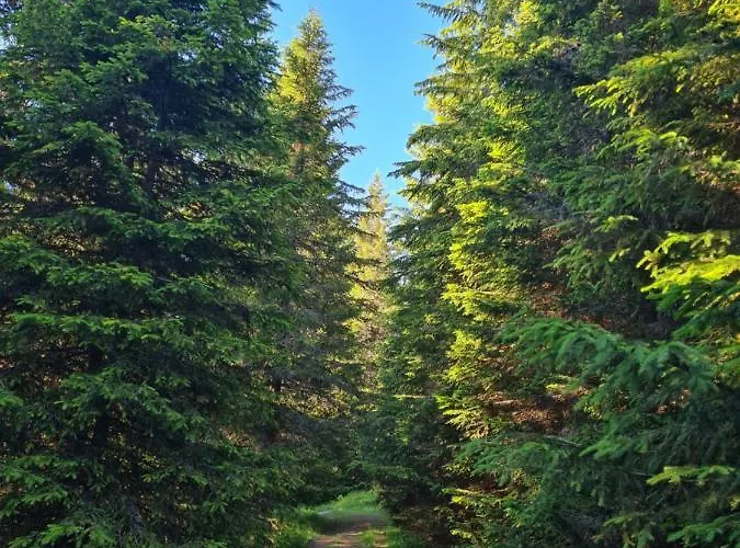 Starloft Apartment *