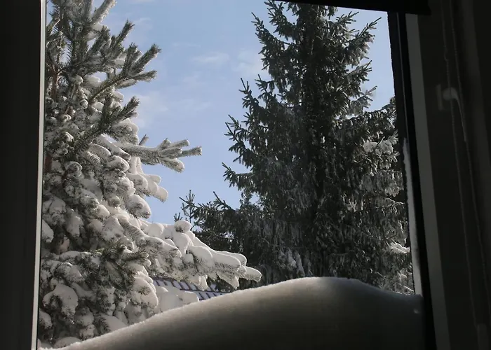 Starloft Apartment Kopaonik